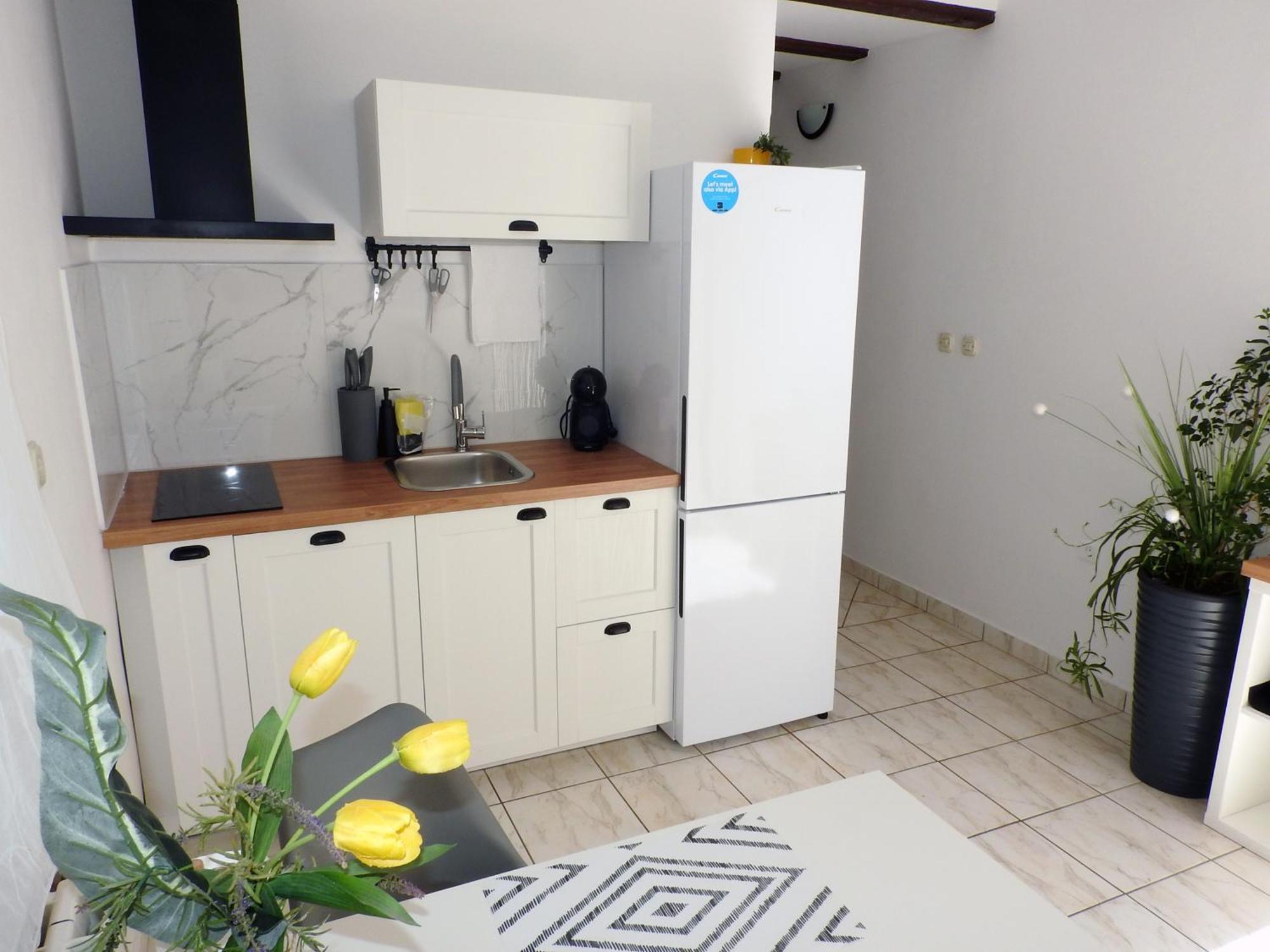Apartment Ines- Stinjan *